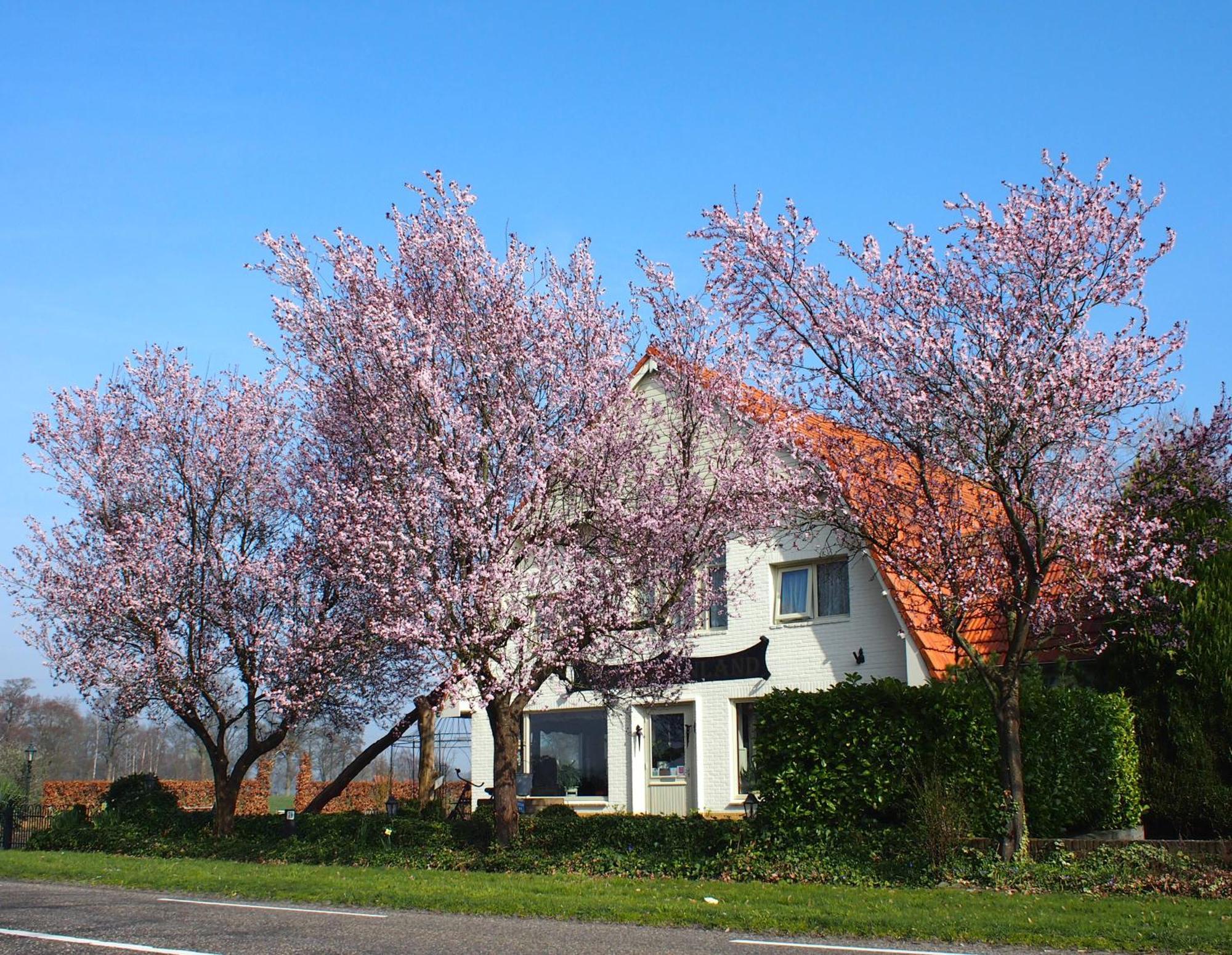 B&B Sagenland Harbrinkhoek Экстерьер фото